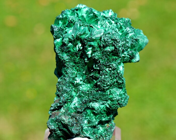 Malachite 80 grams - L'Etoile du Congo Mine, Lubumbashi, Haut-Katanga, DR Congo