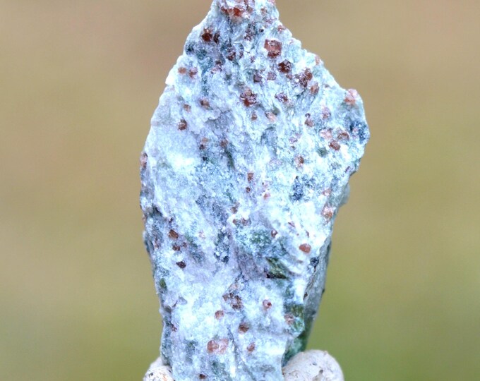 Actinolite & Grossular Garnet 9 grams - Saas-Almagell, Visp, Valais, Switzerland