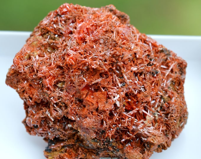 Crocoite 37 grams - Dundas mineral field, Zeehan District, West Coast municipality, Tasmania, Australia