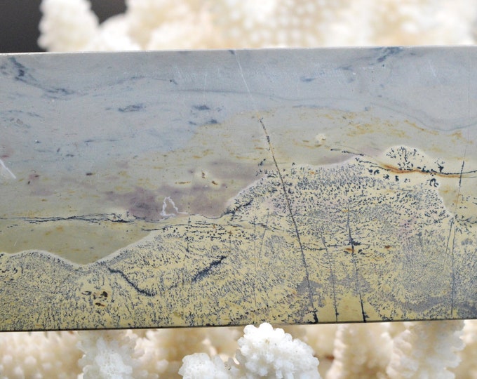 Polished Slice - Landscape Stone 123 mm - Guilin, Guangxi, China