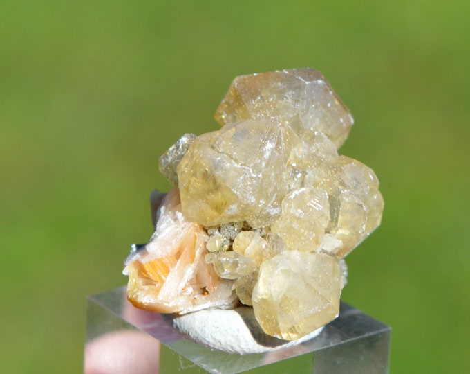 Cerussite 19 grams - Les Dalles Mine, Mibladen mining district, Midelt Province, Drâa-Tafilalet Region, Morocco