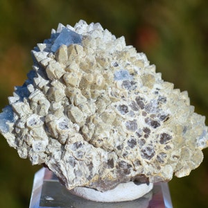Fluorite & Quartz 90 grams - Daqiutou Mine, Yongchun Co., Quanzhou, Fujian, China