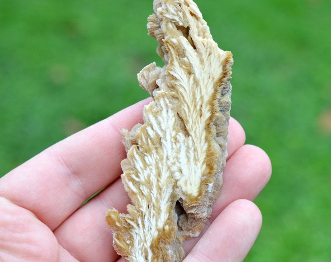 Slice - Barite & Pyrite 87 grams - Lubin Główny shafts (Lubin mine), Lubin, Lubin County, Lower Silesian Voivodeship, Poland