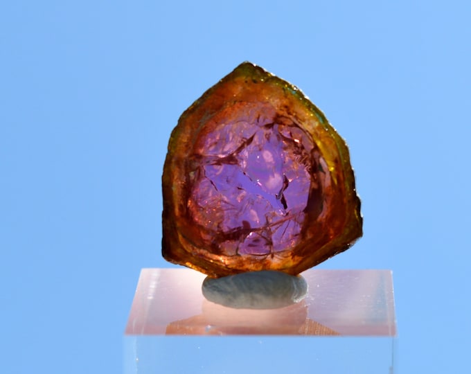 Tourmaline "Watermelon" 9.5 carats - Polished slice natural stone - Pederneira mine, São José da Safira, Minas Gerais, Brazil