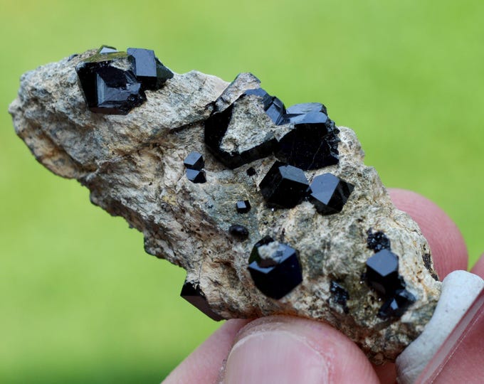 Garnet Andradite var. Melanite 21 grams - Bassano Romano, Viterbo Province, Lazio, Italy