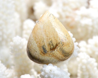 Landschapsjaspis 51 karaat - natuurstenen cabochon - Namibië / EQ24