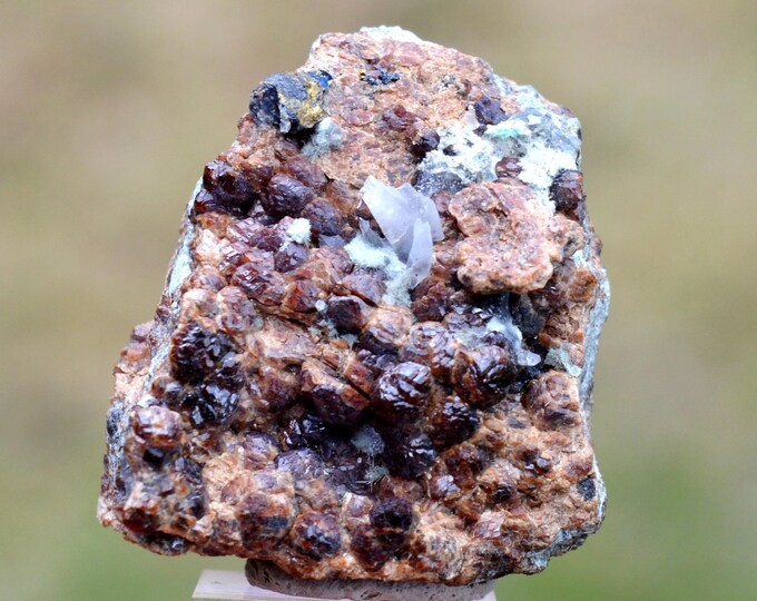 Andradite Garnet 48 grams - Cape Calamita Mine, Capoliveri, Livorno Province, Tuscany, Italy