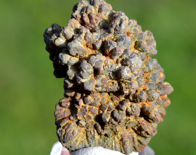 Marcasite and/or Pyrite 55 grams - Cap Blanc-Nez, Escalles, Calais, Pas-de-Calais, Hauts-de-France, France