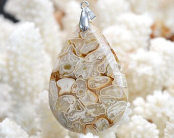 May include: A teardrop-shaped pendant made of fossilized stone with a white and brown swirling pattern. The pendant is attached to a silver bail.