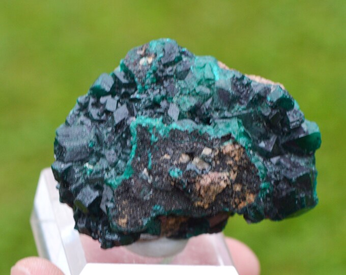 Dioptase 93 grams - Tantara Mine, Shinkolobwe, Kambove Territory, Haut-Katanga, DR Congo