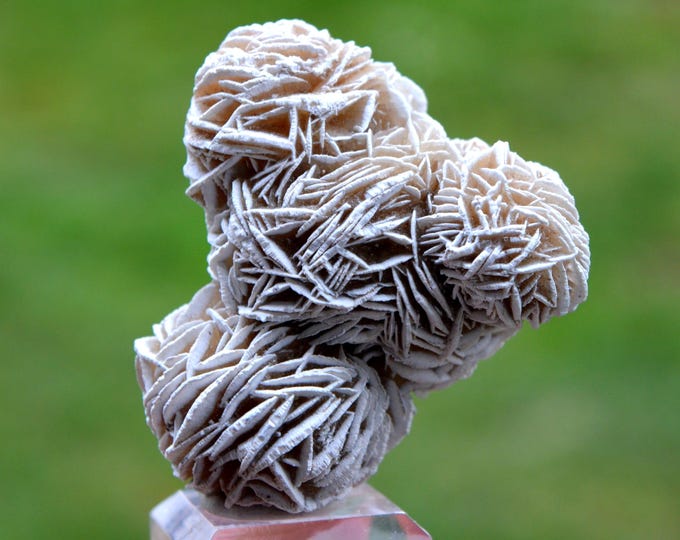 Gypsum var. Rose des sables 93 grams - Samalayuca Desert, Ahumada Municipality, Chihuahua, Mexico