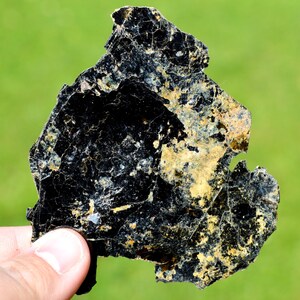 May include: A piece of black mica with a layered, irregular shape. The surface has a glossy sheen and is flecked with areas of gold and white. The background is a blurred green.
