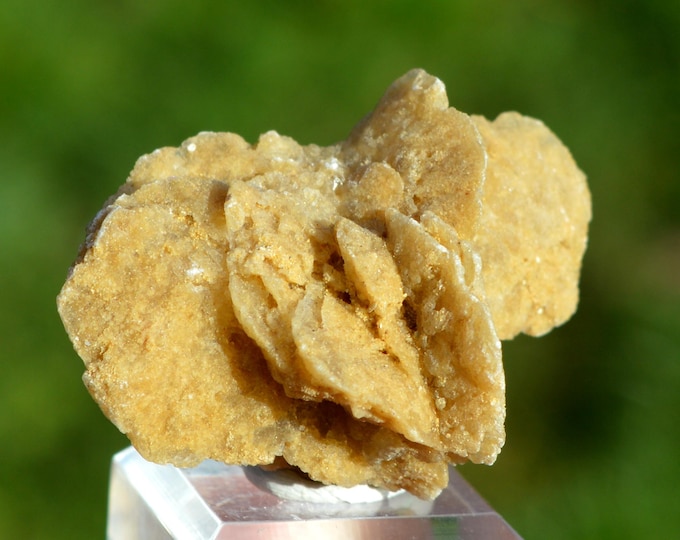 Gypsum var. Desert Rose 33 grams - El Faouar, Sabria Ouest, El Faouar, Governorate of Kébili, Tunisia