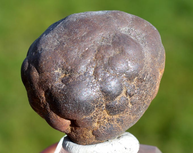Pyrite 313 grams - Cap Blanc-Nez, Escalles, Calais, Pas-de-Calais, Hauts-de-France, France