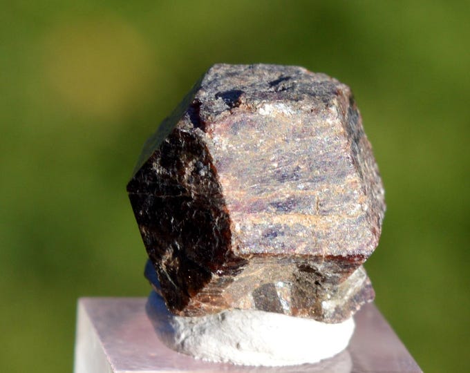Garnet var. Andradite 7.6 grams - Ansignan, Prades, Pyrénées-Orientales, Occitanie, France