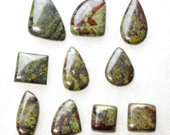 Lot x10 Jasper "Dragon Blood" 225 carats - natural stone cabochon - Australia // BJ18