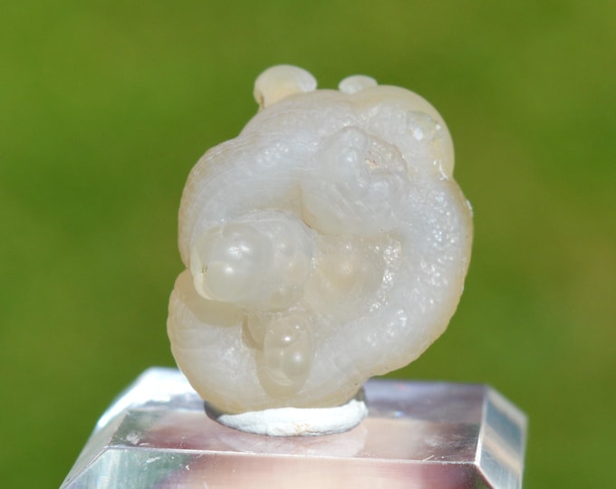 Guttular Chalcedony 6.3 grams - Aulon, Saint-Gaudens, Haute-Garonne, Occitanie, France