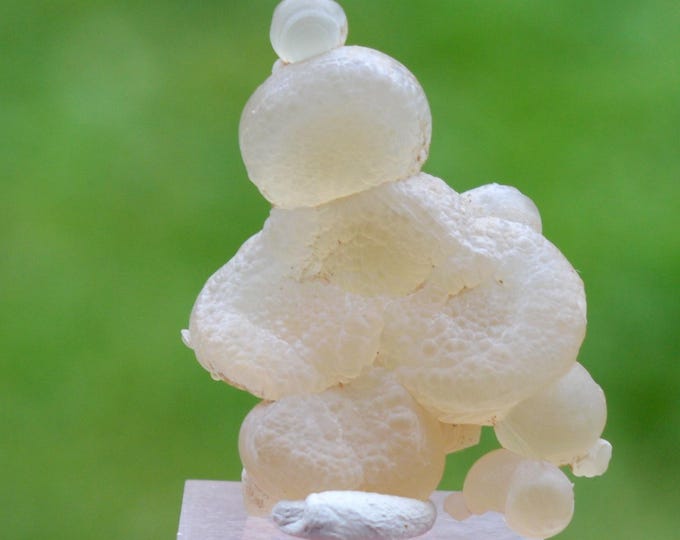 Guttular Chalcedony 5.5 grams - Aulon, Saint-Gaudens, Haute-Garonne, Occitanie, France