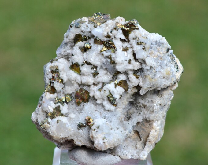 Chalcopyrite & quartz 105 grams - Cavnic, Maramureș County, Romania