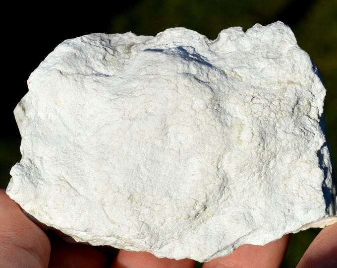 Magadiite 224 grams - Lake Magadi, Kajiado County, Kenya