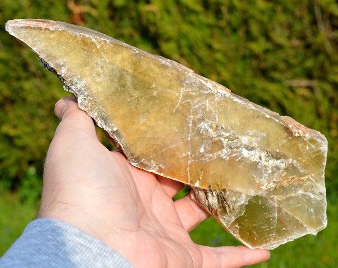 “Fer-de-lance” gypsum - 670 grams - Monthyon, Seine et Marne, France