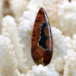 Ossidiana arachidi da 15 carati - cabochon in pietra naturale - Messico / FH38