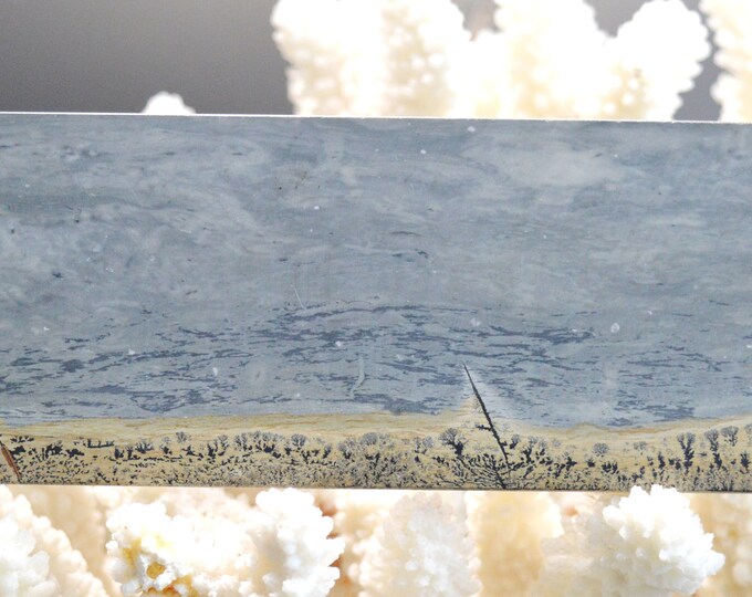 Polished Slice - Landscape Stone 175 mm - Guilin, Guangxi, China