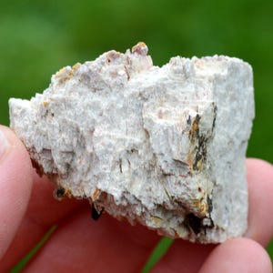 May include: A close-up of a white, rough-textured rock with small, dark brown and reddish-brown crystals embedded in it.