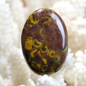 Jaspe bambú de 67 quilates - cabujón de piedra natural - Indonesia / EF17