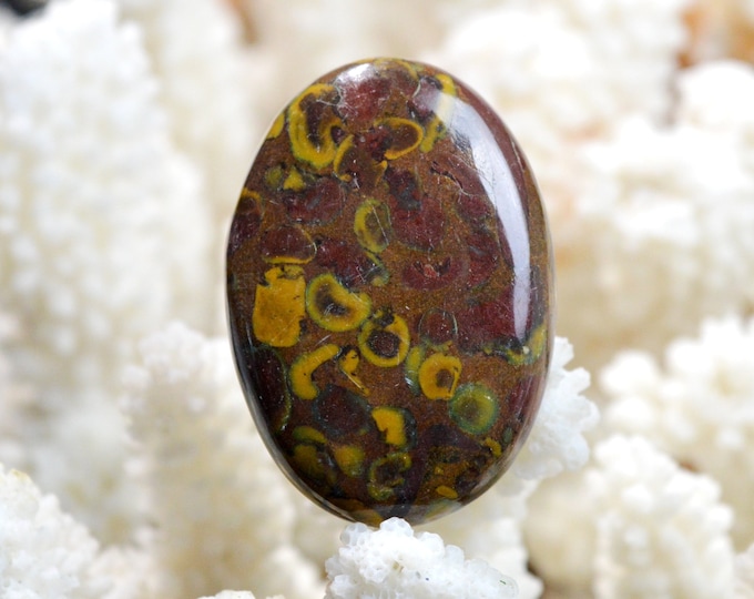 Bamboo Jasper 67 carats - natural stone cabochon - Indonesia / EF17