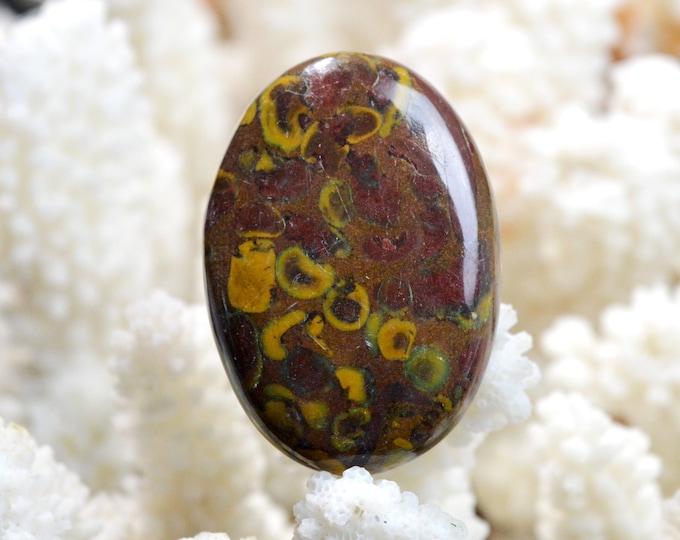 Jasper "Bamboo" 67 carats - natural stone cabochon - Indonesia / EF17