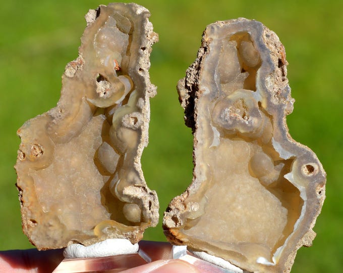 Chalcedony & Fossil Coral 79 grams - Ballast Point, Tampa Bay, Tampa, Hillsborough Co., Florida, USA
