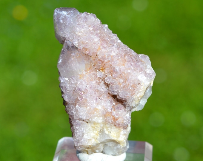 Cactus Amethyst 58 grams - Boekenhoutshoek area, Mkobola, Nkangala District, Mpumalanga, South Africa