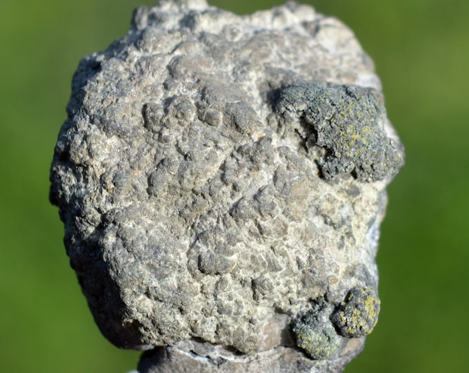 Marcasite and/or Pyrite 34 grams - Cap Blanc-Nez, Escalles, Calais, Pas-de-Calais, Hauts-de-France, France