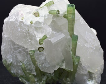 Watermelon Tourmaline on Quartz - 576 grams - Pederneira mine, São José da Safira, Minas Gerais, Brazil