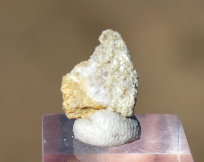 Kaňkite 0.55 grams - Kaňk, Kutná Hora, Kutná Hora District, Central Bohemian Region, Czech Republic