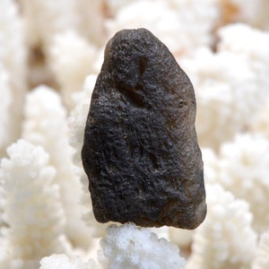 May include: A dark gray, irregularly shaped stone with a rough, textured surface. The stone is about the size of a quarter.