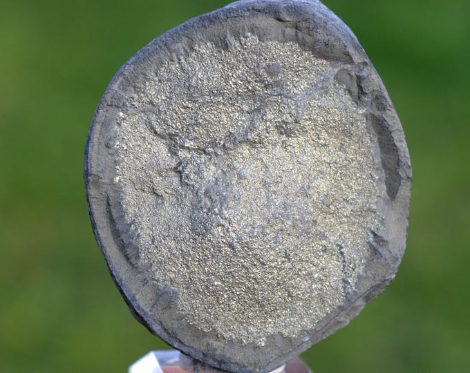 Pyrite 220 grams - Rettigheim, Mühlhausen, Rhein-Neckar-Kreis, Karlsruhe Region, Baden-Württemberg, Germany