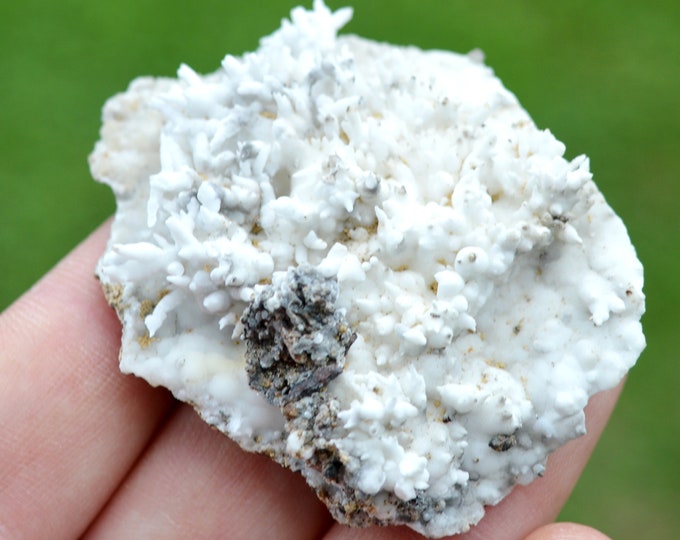 Aragonite "Flos Ferri" 32 grams - Green Fir Mine, Altenberg, Ste Marie-aux-Mines, Colmar-Ribeauvillé, Haut-Rhin, Alsace, France