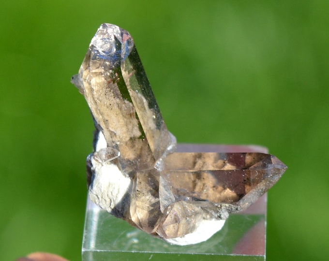 Smoky quartz 2.7 grams - Minstigertal (Münstigertal), Münster, Goms, Valais, Switzerland