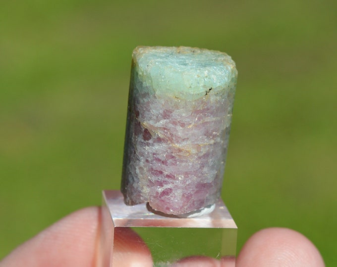 Tourmaline var. Elbaite "Watermelon" 15 grams - Himalaya Mine, Gem Hill, Mesa Grande Mining District, San Diego County, California, USA