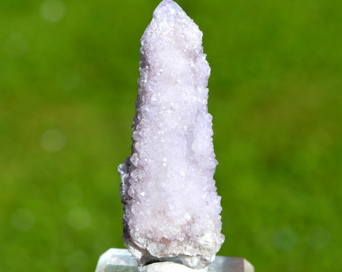 Cactus Amethyst 42 grams - Boekenhoutshoek area, Mkobola, Nkangala District, Mpumalanga, South Africa