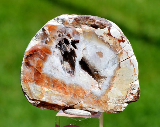 Chalcedony var. agate & Quartz "Lithophyse" 78 grams - Esterel Massif, Var, France