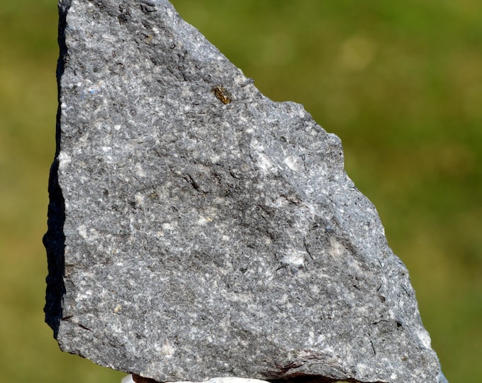 Ankaramite olivine hauyne 152 grams - Banne d'Ordanche, Mont-Dore Volcanic Field, Puy-de-Dôme, Auvergne-Rhône-Alpes, France