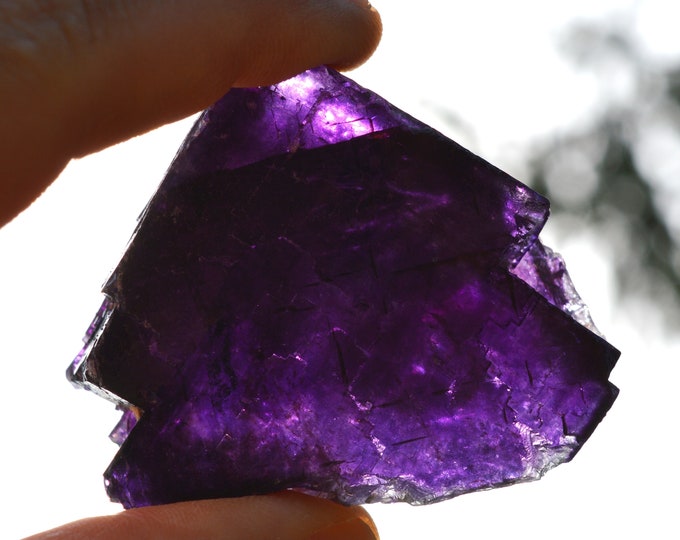 Fluorite 145 grams - Melchor Múzquiz, Múzquiz Municipality, Coahuila, Mexico