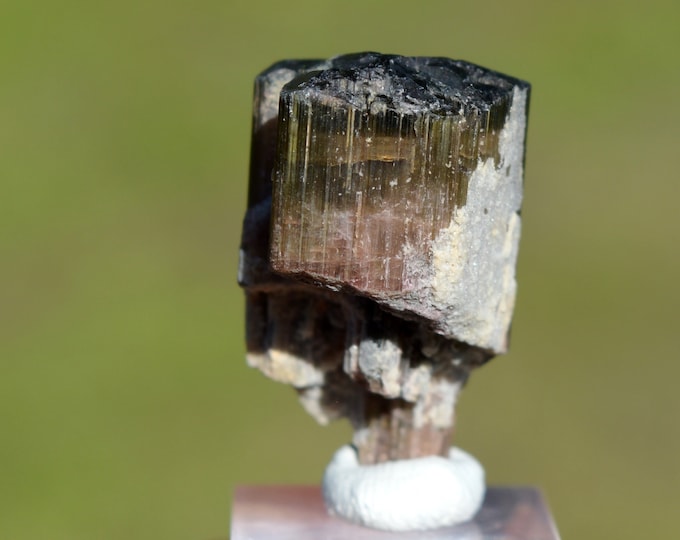 Tourmaline var. Elbaite "Watermelon" 9 grams - Cruzeiro mine, São José da Safira, Minas Gerais, Brazil