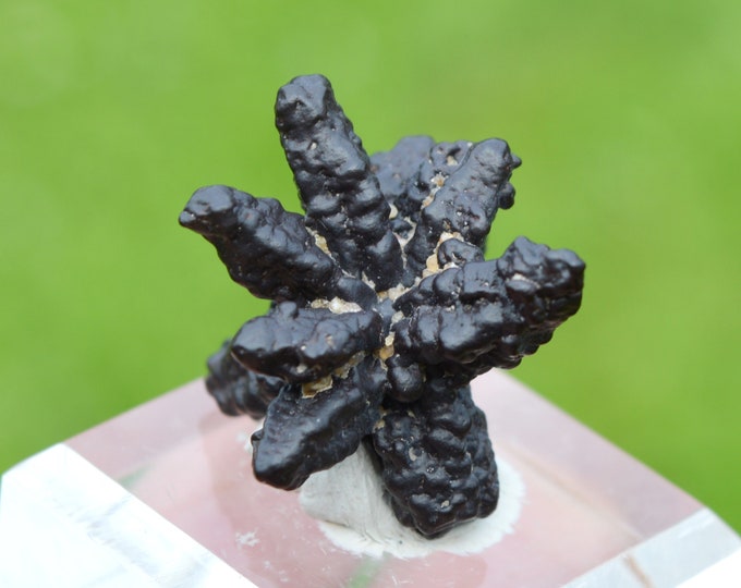 Goethite pseudomorphose after Marcasite - 15 grams - White Desert, Farafra Oasis, New Valley Governorate, Egypt