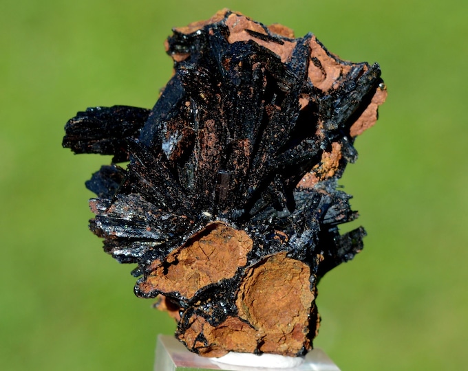 Vivianite 25 grams - Chernomorsky mine, Russia