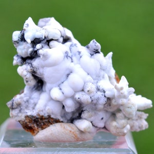 Aragonite "Flos Ferri" 17 grams - Green Fir Mine, Altenberg, Ste Marie-aux-Mines, Colmar-Ribeauvillé, Haut-Rhin, Alsace, France