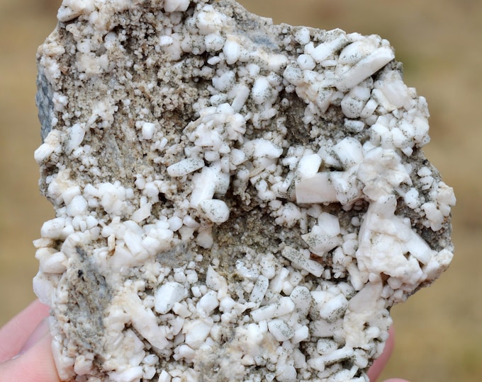 Albite var. Pericline 429 grams - Gibelmatte, Mätti Valley, Grengiols, Östlich Raron, Valais, Switzerland